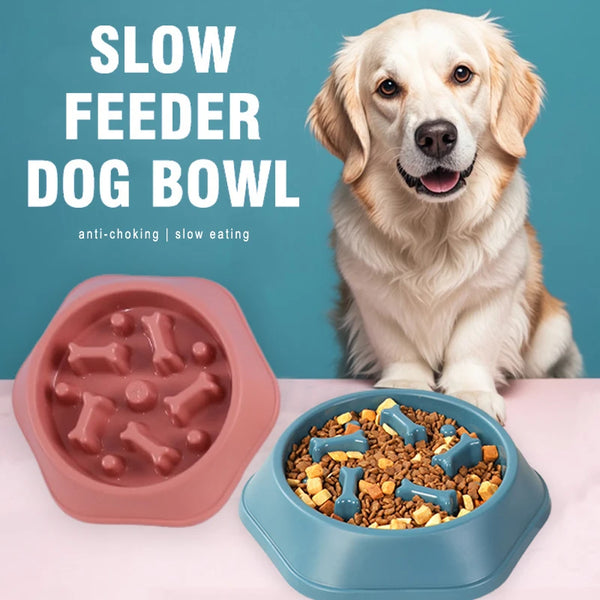 Smart Slow Feeding Matskål